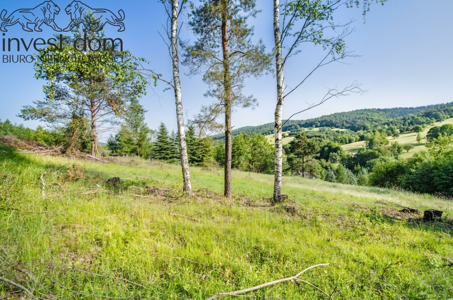 gorlicki, Sękowa, Małastów, małopolskie, Marzenie o własnej pracowni pasiecznej? już w zasięgu ręki!