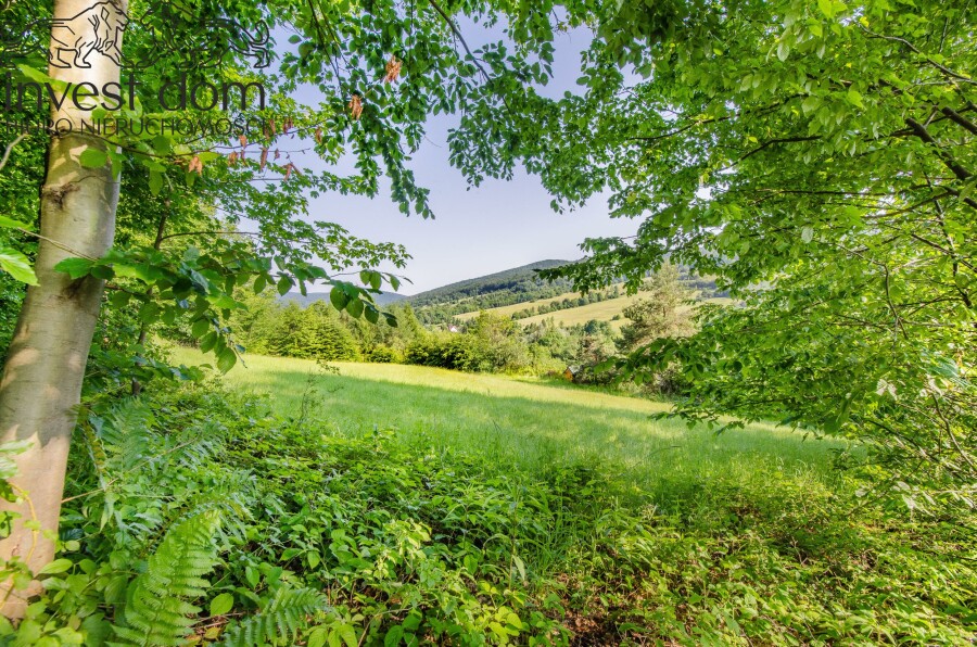 gorlicki, Sękowa, Małastów, małopolskie, Marzenie o własnej pracowni pasiecznej? już w zasięgu ręki!