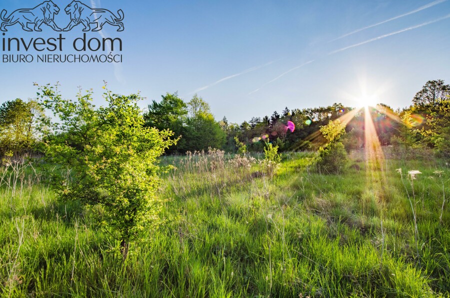 gorlicki, Lipinki, Wójtowa, małopolskie, ..panoramiczna działka budowlana okalana lasem!