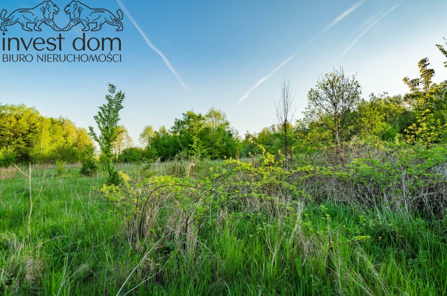 gorlicki, Lipinki, Wójtowa, małopolskie, ..panoramiczna działka budowlana okalana lasem!