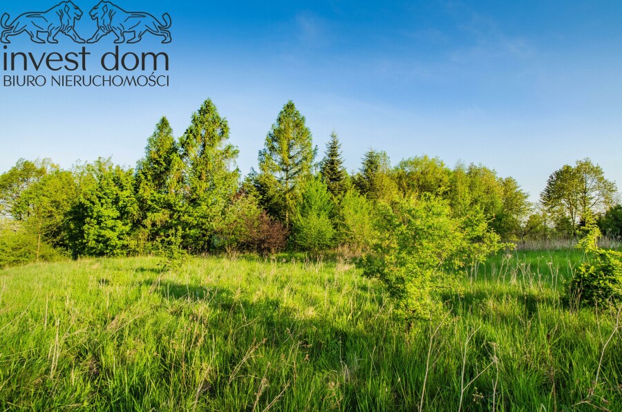 gorlicki, Lipinki, Wójtowa, małopolskie, ..panoramiczna działka budowlana okalana lasem!