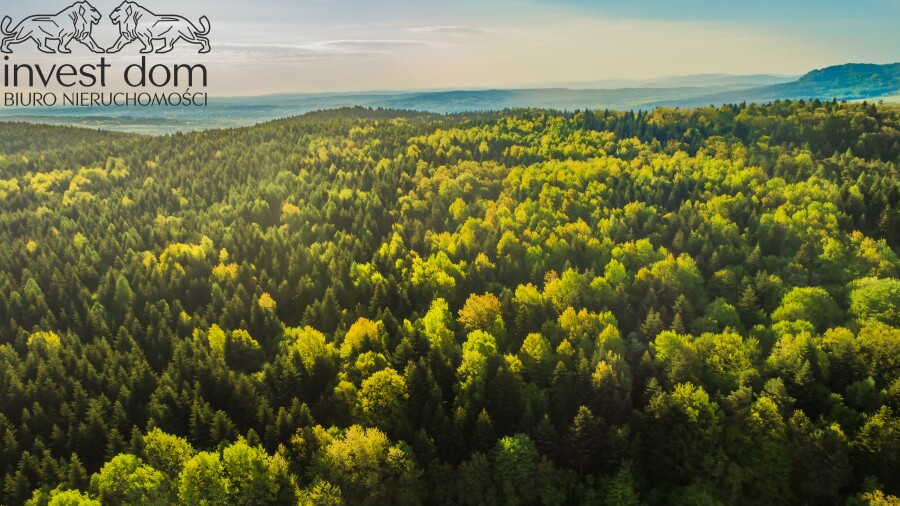 gorlicki, Lipinki, Wójtowa, małopolskie, ..panoramiczna działka budowlana okalana lasem!