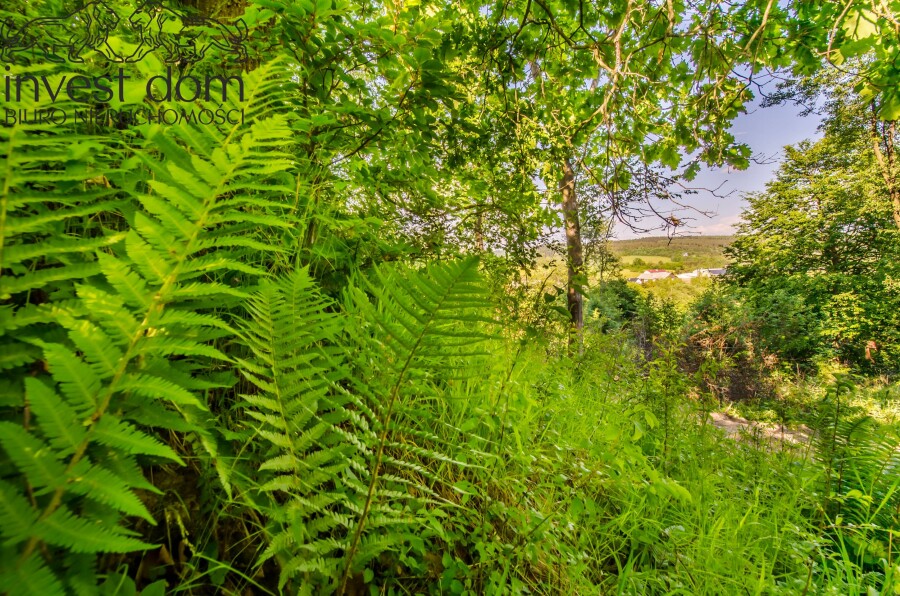 gorlicki, Uście Gorlickie, Uście Gorlickie, małopolskie, Działka rolno/leśna w Beskidzie Niskim!