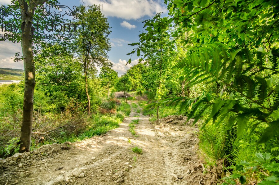 gorlicki, Uście Gorlickie, Uście Gorlickie, małopolskie, Działka rolno/leśna w Beskidzie Niskim!