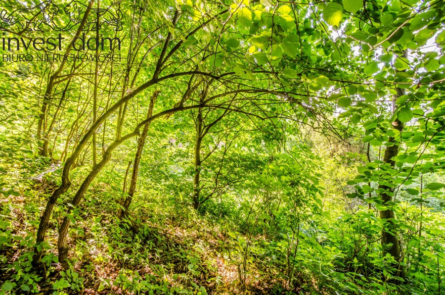 gorlicki, Uście Gorlickie, Uście Gorlickie, małopolskie, Działka rolno/leśna w Beskidzie Niskim!