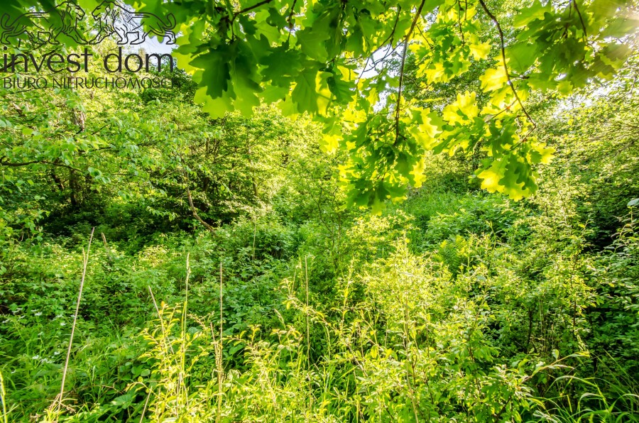 gorlicki, Uście Gorlickie, Uście Gorlickie, małopolskie, Działka rolno/leśna w Beskidzie Niskim!