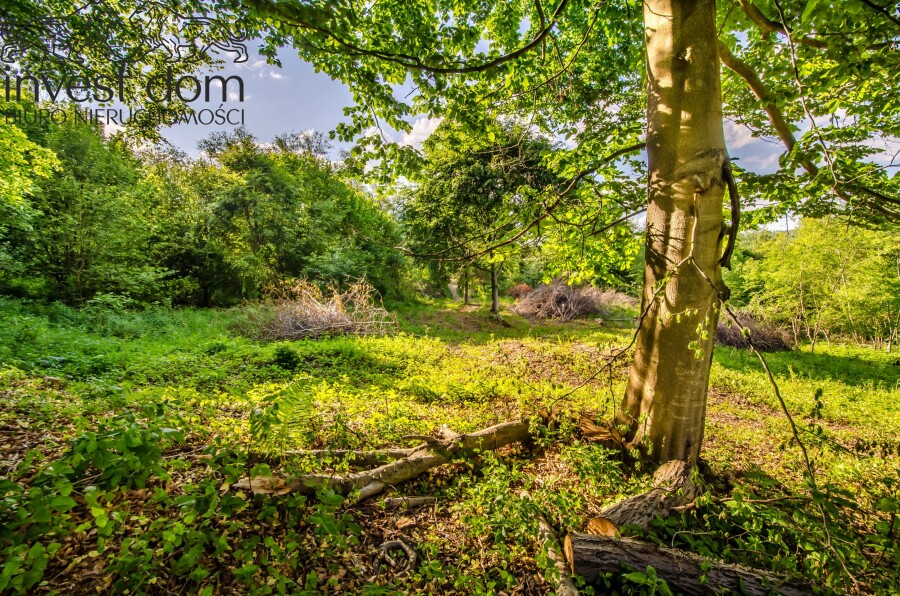 gorlicki, Uście Gorlickie, Uście Gorlickie, małopolskie, Działka rolno/leśna w Beskidzie Niskim!