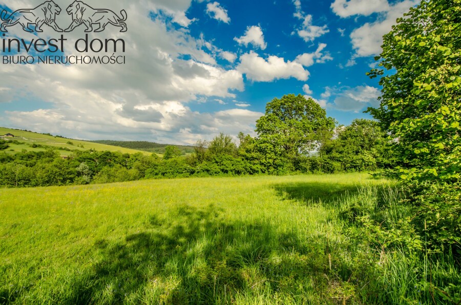 gorlicki, Uście Gorlickie, Uście Gorlickie, małopolskie, Działka rolno/leśna w Beskidzie Niskim!