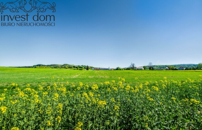 małopolskie, gorlicki, działki budowlane w Mszance, które wzbudzają uznanie!