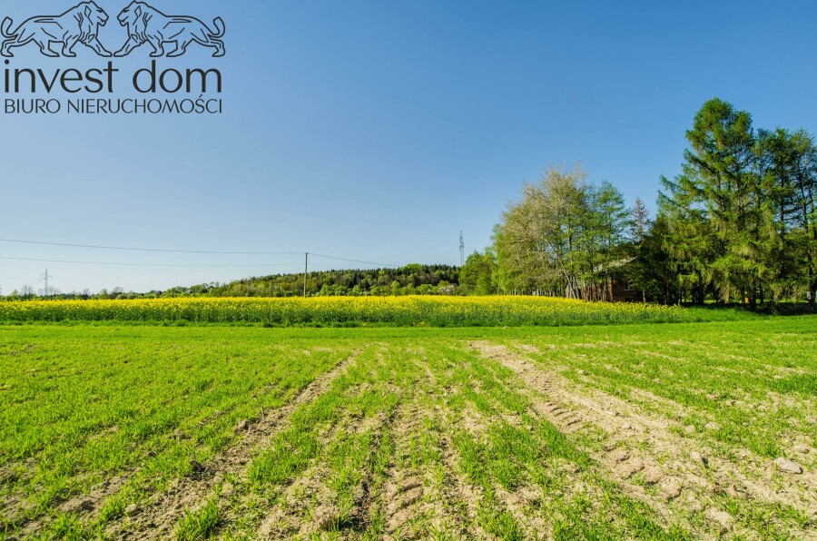 gorlicki, Łużna, Mszanka, małopolskie, działki budowlane w Mszance, które wzbudzają uznanie!