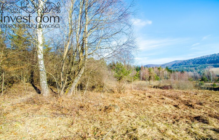 małopolskie, gorlicki, ..wyjątkowe działki w sercu Beskidu Niskiego!