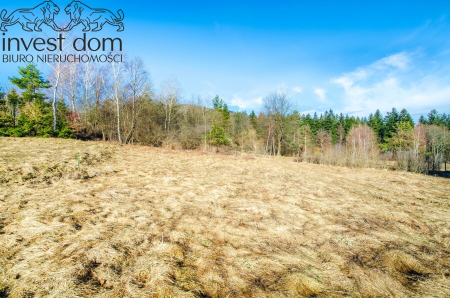 gorlicki, Uście Gorlickie, Wysowa-Zdrój, małopolskie, ..wyjątkowe działki w sercu Beskidu Niskiego!