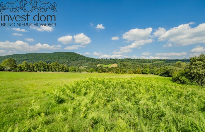 małopolskie, gorlicki, ..działki budowlane w Beskidzie Niskim!