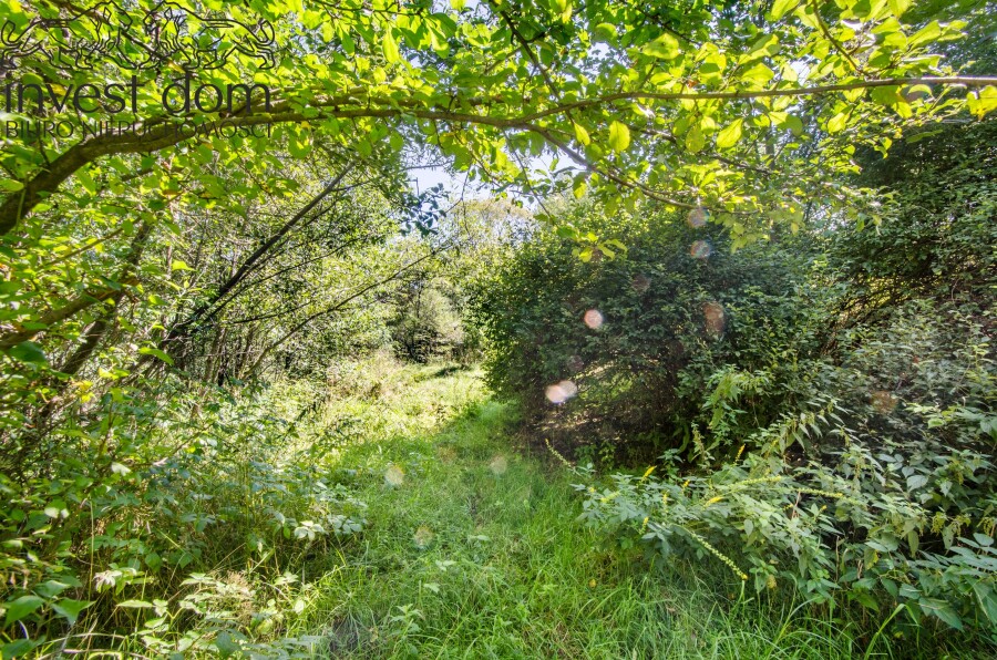 gorlicki, Uście Gorlickie, Czarna, małopolskie, ..takie miejsce, którego się pragnie. Czarna !