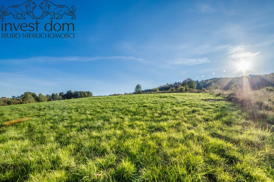 gorlicki, Ropa, Łosie, małopolskie, To jest właśnie to! działka na wzniesieniach!