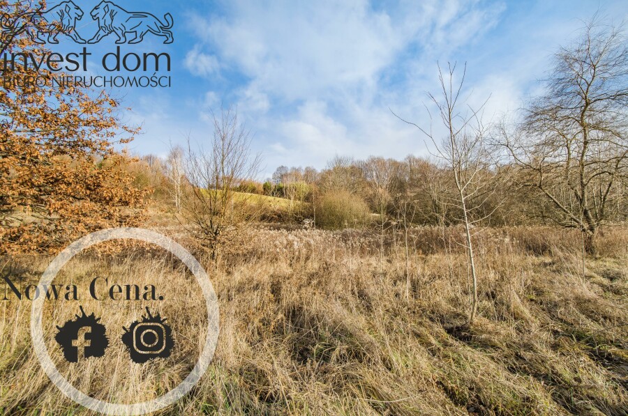 jasielski, Skołyszyn, Bączal Dolny, podkarpackie, Działka w centrum miejscowości Bączal Dolny