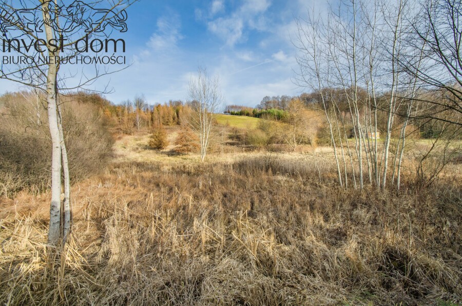jasielski, Skołyszyn, Bączal Dolny, podkarpackie, Działka w centrum miejscowości Bączal Dolny