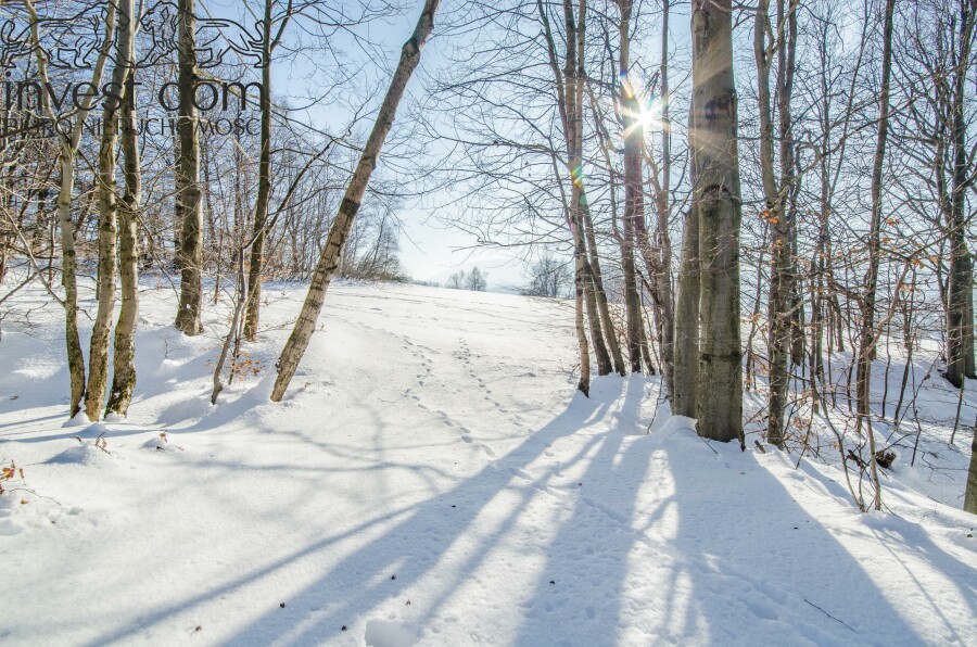 gorlicki, Uście Gorlickie, Wysowa-Zdrój, małopolskie, Działka, która zachwyca widokiem w Wysowej Zdrój !!