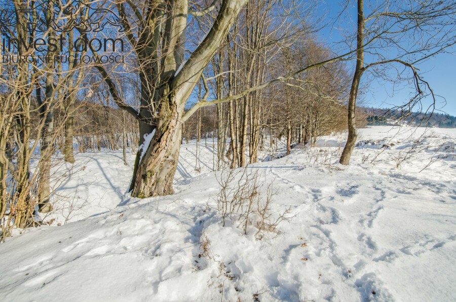 gorlicki, Uście Gorlickie, Wysowa-Zdrój, małopolskie, Działka, która zachwyca widokiem w Wysowej Zdrój !!