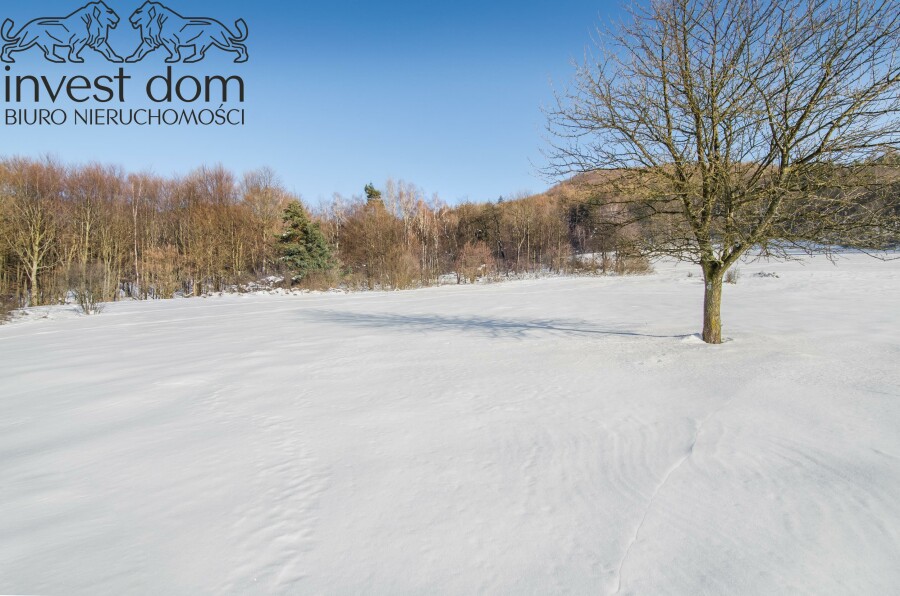 gorlicki, Uście Gorlickie, Wysowa-Zdrój, małopolskie, Działka, która zachwyca widokiem w Wysowej Zdrój !!