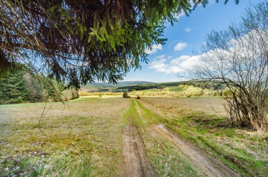 gorlicki, Uście Gorlickie, Skwirtne, małopolskie, 8ha w sercu Beskidu Niskiego, Skwirtne!