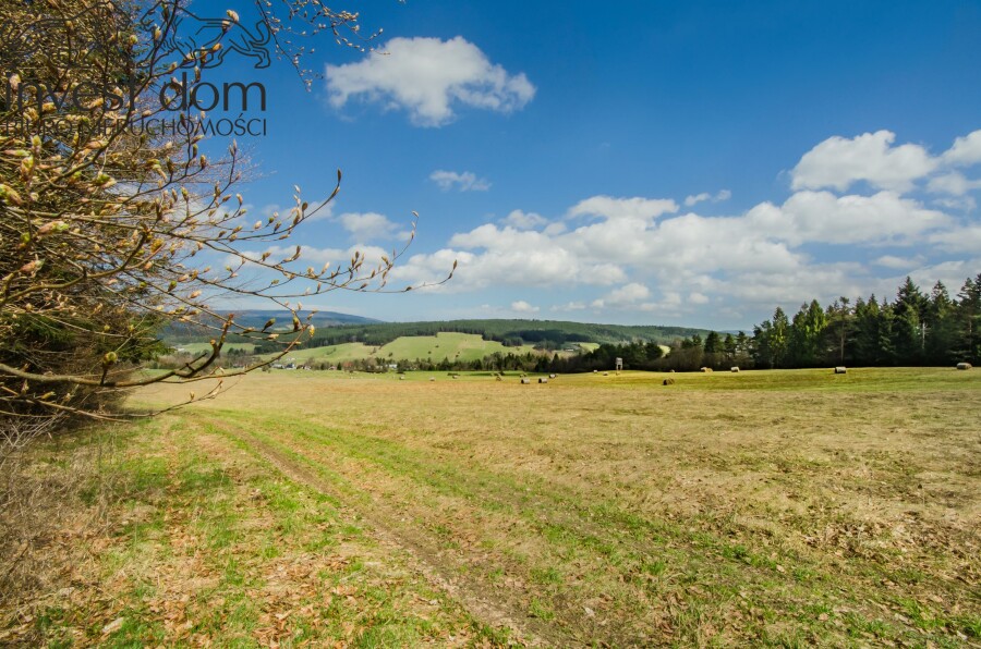 gorlicki, Uście Gorlickie, Skwirtne, małopolskie, 8ha w sercu Beskidu Niskiego, Skwirtne!