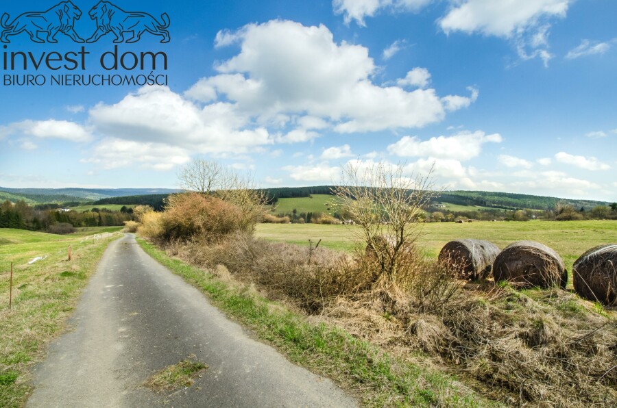 gorlicki, Uście Gorlickie, Skwirtne, małopolskie, 8ha w sercu Beskidu Niskiego, Skwirtne!