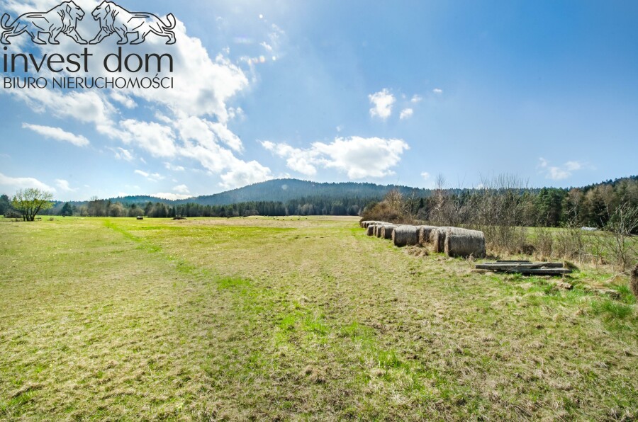 gorlicki, Uście Gorlickie, Skwirtne, małopolskie, 8ha w sercu Beskidu Niskiego, Skwirtne!
