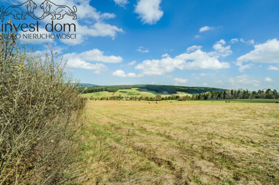 gorlicki, Uście Gorlickie, Skwirtne, małopolskie, 8ha w sercu Beskidu Niskiego, Skwirtne!