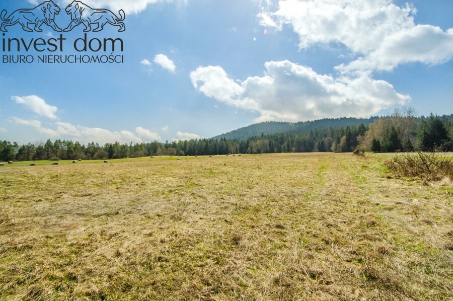 gorlicki, Uście Gorlickie, Skwirtne, małopolskie, 8ha w sercu Beskidu Niskiego, Skwirtne!