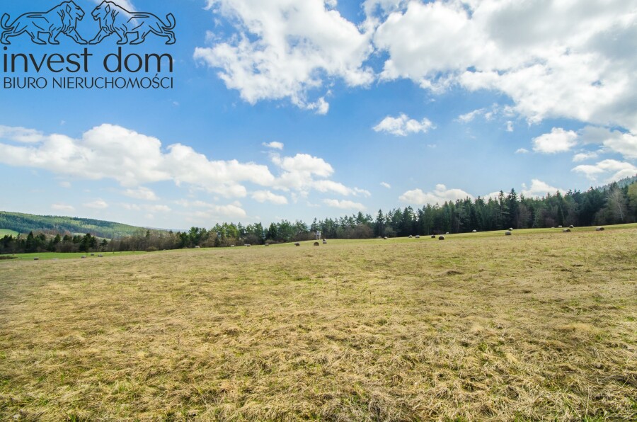 gorlicki, Uście Gorlickie, Skwirtne, małopolskie, 8ha w sercu Beskidu Niskiego, Skwirtne!
