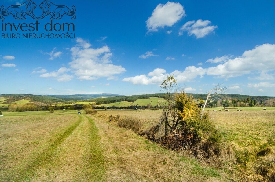 gorlicki, Uście Gorlickie, Skwirtne, małopolskie, 8ha w sercu Beskidu Niskiego, Skwirtne!