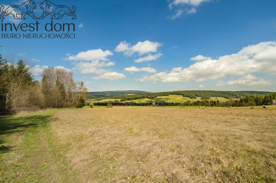 gorlicki, Uście Gorlickie, Skwirtne, małopolskie, 8ha w sercu Beskidu Niskiego, Skwirtne!