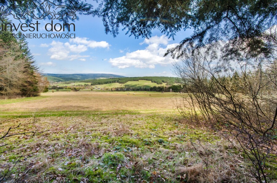 gorlicki, Uście Gorlickie, Skwirtne, małopolskie, 8ha w sercu Beskidu Niskiego, Skwirtne!