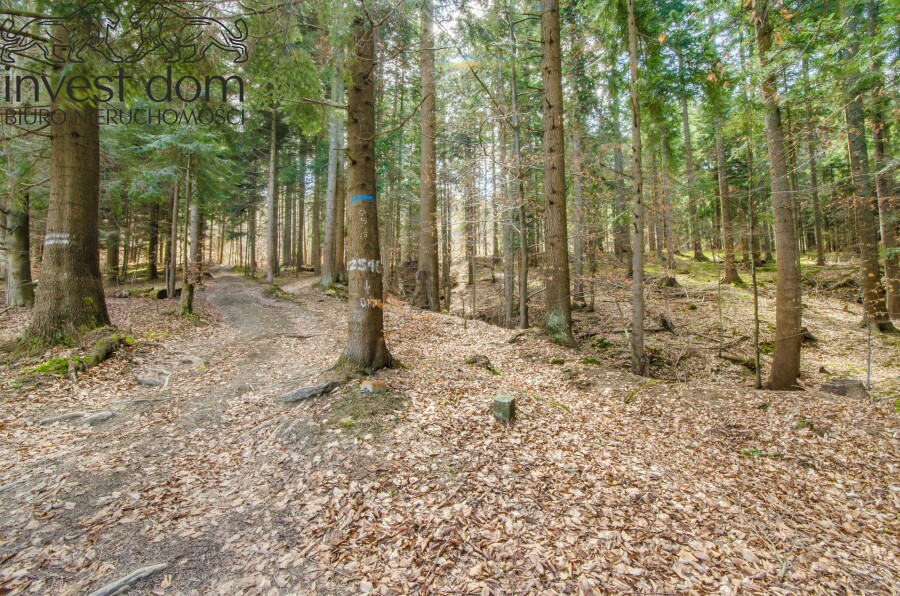 gorlicki, Uście Gorlickie, Skwirtne, małopolskie, 8ha w sercu Beskidu Niskiego, Skwirtne!