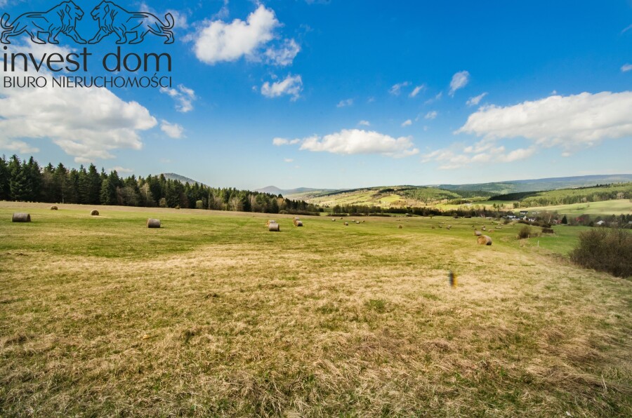 gorlicki, Uście Gorlickie, Skwirtne, małopolskie, 8ha w sercu Beskidu Niskiego, Skwirtne!