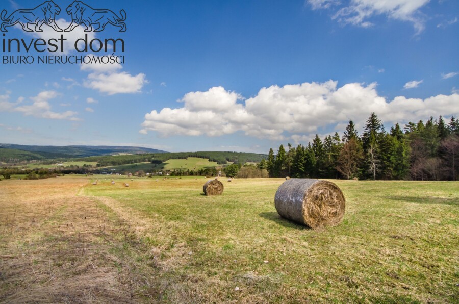 gorlicki, Uście Gorlickie, Skwirtne, małopolskie, 8ha w sercu Beskidu Niskiego, Skwirtne!