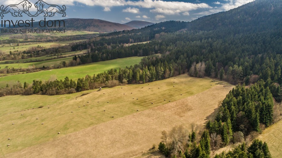 gorlicki, Uście Gorlickie, Skwirtne, małopolskie, 8ha w sercu Beskidu Niskiego, Skwirtne!