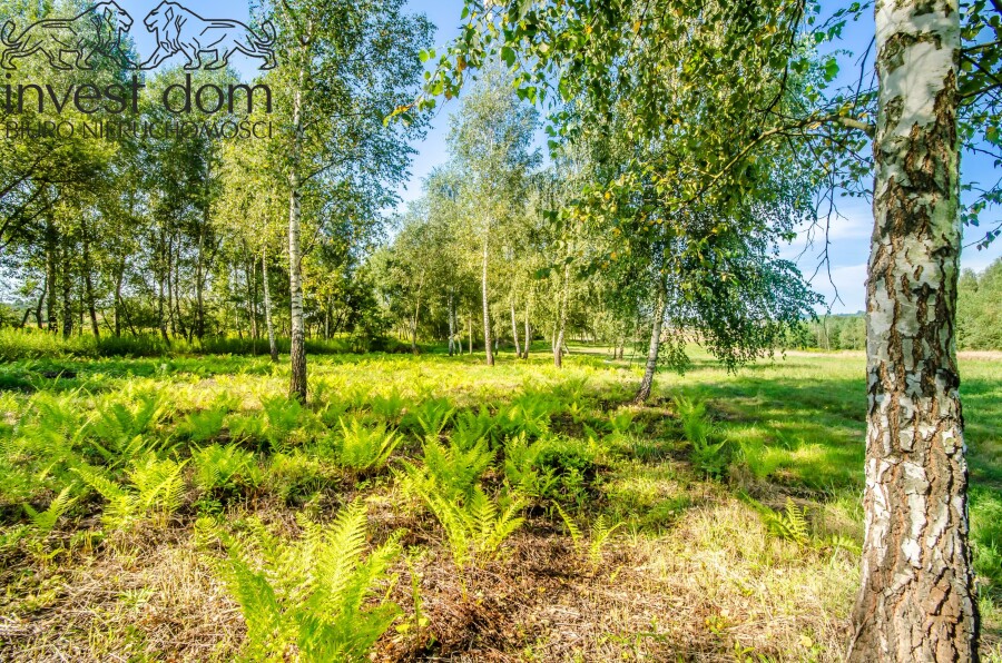 gorlicki, Biecz, Grudna Kępska, małopolskie, Teren rolny z potencjałem inwestycyjnym!