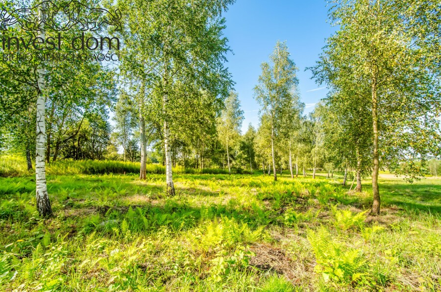 gorlicki, Biecz, Grudna Kępska, małopolskie, Teren rolny z potencjałem inwestycyjnym!