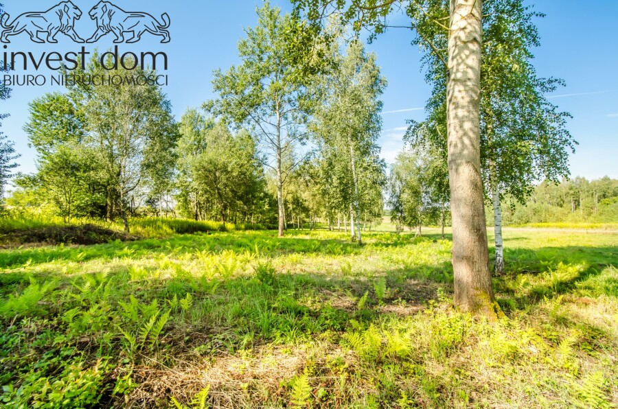 gorlicki, Biecz, Grudna Kępska, małopolskie, Teren rolny z potencjałem inwestycyjnym!