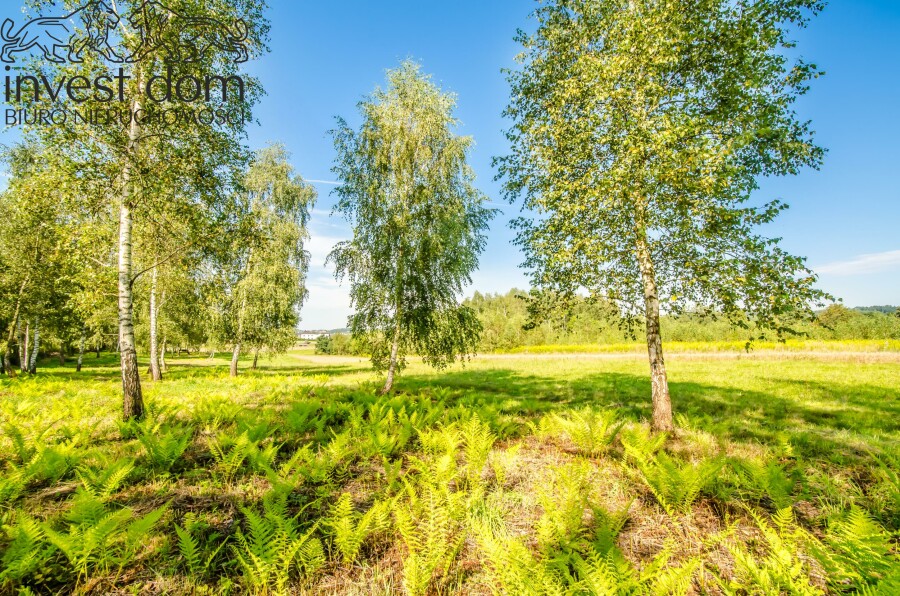 gorlicki, Biecz, Grudna Kępska, małopolskie, Teren rolny z potencjałem inwestycyjnym!