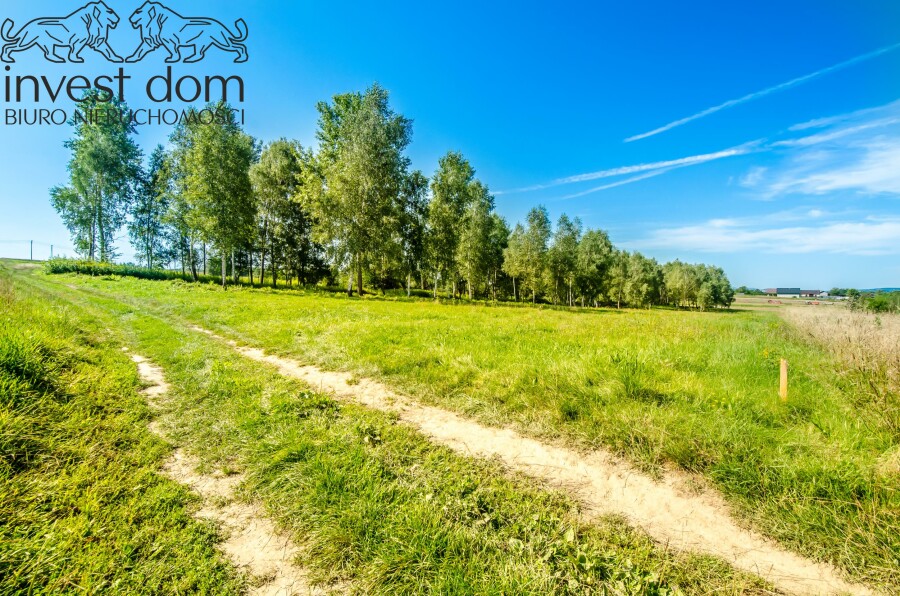 gorlicki, Biecz, Grudna Kępska, małopolskie, Teren rolny z potencjałem inwestycyjnym!