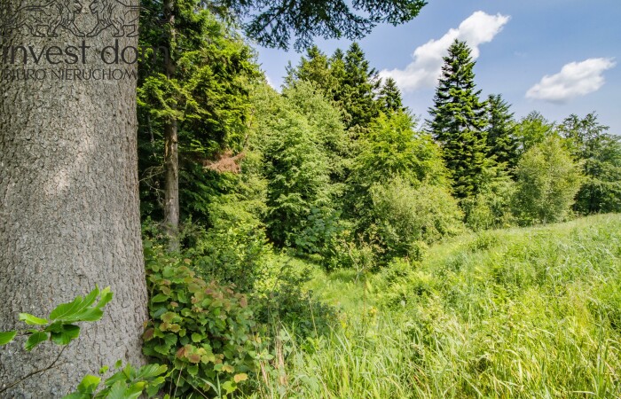 małopolskie, gorlicki, Działka w pełni uzbrojona pod lasem w Wysowej Z.!