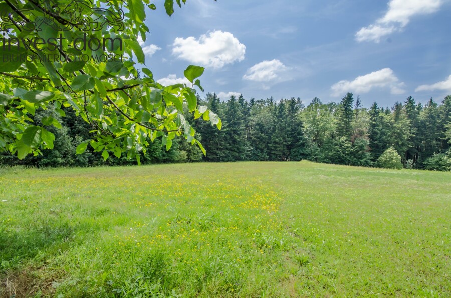 gorlicki, Biecz, małopolskie, 1ha siedlisko pod lasem w Bieczu nieopodal centrum miasta!