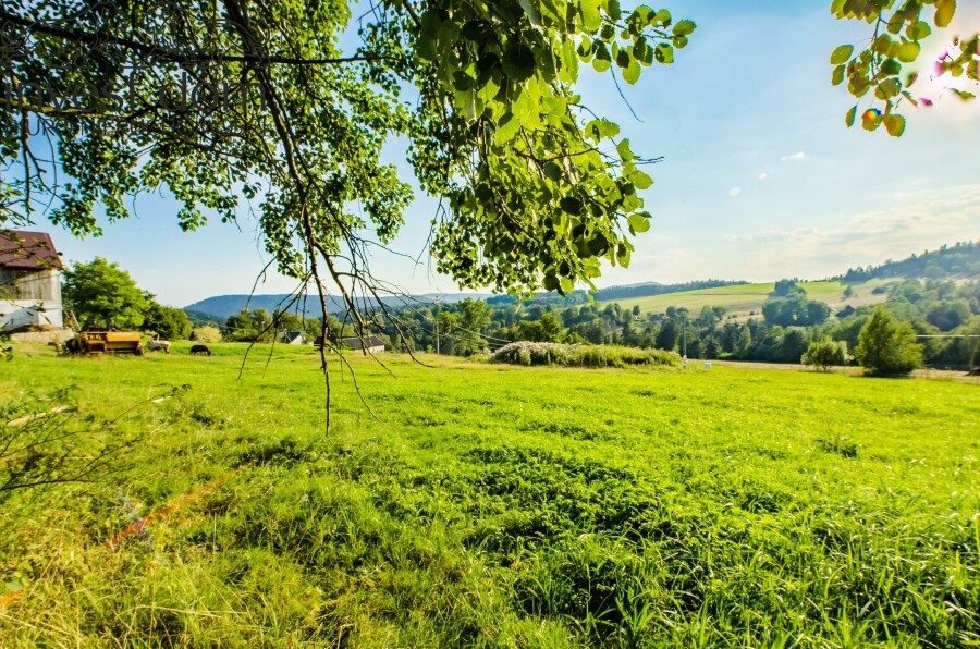 gorlicki, Uście Gorlickie, Uście Gorlickie, małopolskie, Widokowe działki budowlane w Uściu Gorlickim...