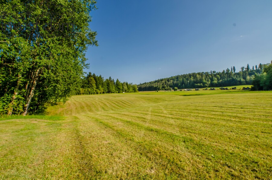 gorlicki, Ropa, Klimkówka, małopolskie, 0,93 ha w Beskidzie Niskim wśród gór, lasów i strumieni nieopodal Jeziora!