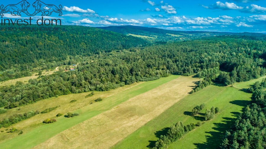 gorlicki, Uście Gorlickie, Kunkowa, małopolskie, 1,53ha w Kunkowej - Definicja Beskidu Niskiego.