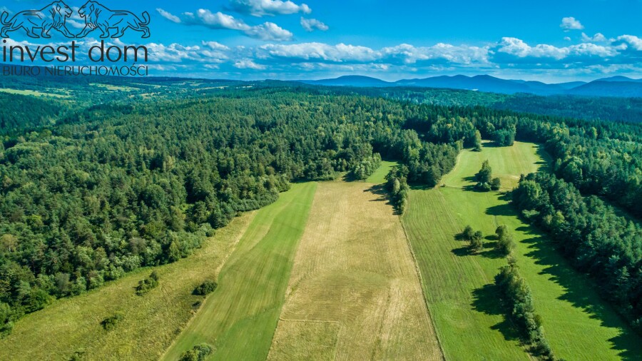 gorlicki, Uście Gorlickie, Kunkowa, małopolskie, 1,53ha w Kunkowej - Definicja Beskidu Niskiego.