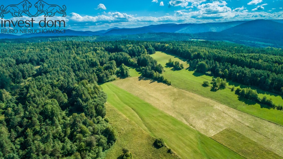 gorlicki, Uście Gorlickie, Kunkowa, małopolskie, 1,53ha w Kunkowej - Definicja Beskidu Niskiego.